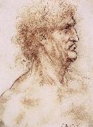 LEONARDO da Vinci Profile one with book leaves gekroten of old man USA oil painting reproduction